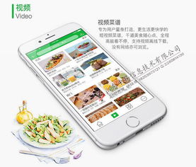 菜谱大全App开发 大厨唾手可得，移动互联技术赋能美食生活