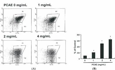 游戏代理商如何高效运营《烟花合击》并提供优质咨询与服务